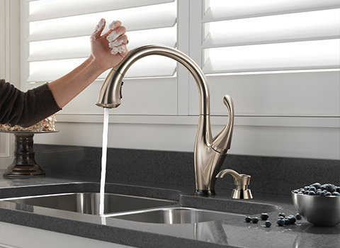 480x350-faucet.jpg?Revision=5Sj1&Timestamp=5C1xFx